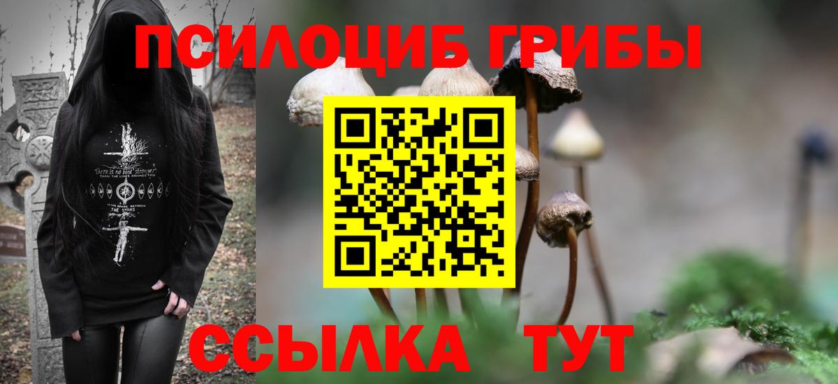 Галлюциногенные грибы прущие грибы  Псилоцибиновые грибы Psilocybine cubensis  наркошоп  Кушва  Вход с VPN 